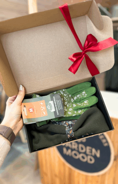 Komplektas "Šiluma sode" (pirštinės ir galvajuostė)